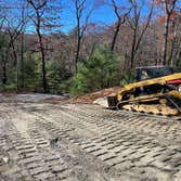 Photos by Carolina Dozer #1