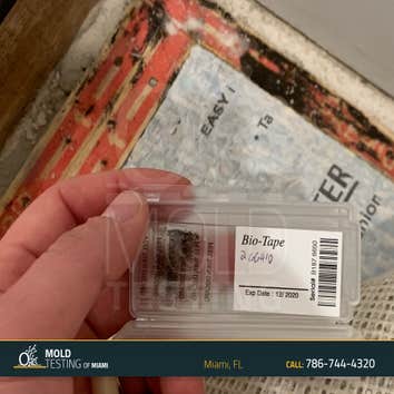 O2 Mold Testing of Miami