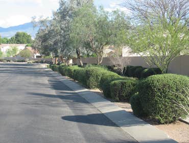 Photos by Complete Landscaping Inc #1