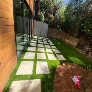 Photos by Gonzalez Landscape #1