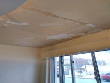 Photos by Silverback Painting Solutions #1