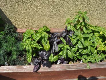 Landscaping