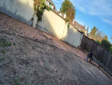 Photos by Pro M Tree Service #28