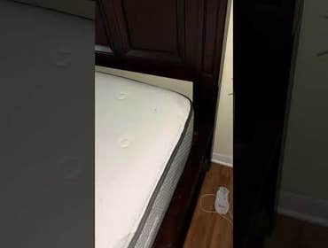 Photos by Bed Bug Exterminator | ST. Petersburg #1