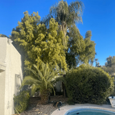 Photos by H&R Tree Services LLC #1