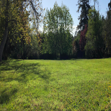 Photos by Alex's Gardening Services #1