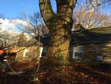 Photo(s) from Bonilla Tree Service Inc