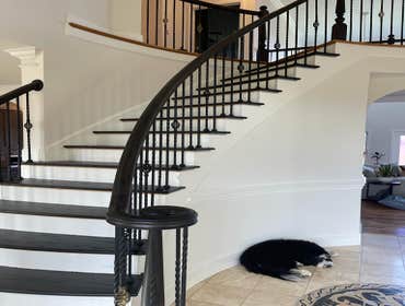 Photos by Blue Mountain Hardwood Floor #26