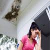 Derby City Water Damage Experts logo