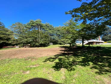 Photos by Yandi's Tree Service #22
