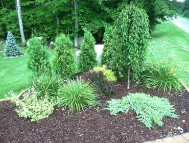 E And J 4 Seasons Landscaping Llc Project Full Service Lawn Care
Snow Plowing
Walkways
Patios
Decks
Fire Pits
Mulch
Pruning
Leaf Clean-up
and much more