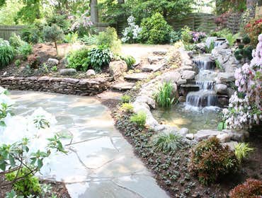 Water Feature