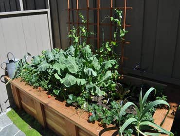 Landscaping