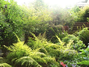 Photos by Green Hand Landscaping #1