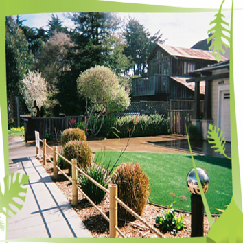 Front Yard