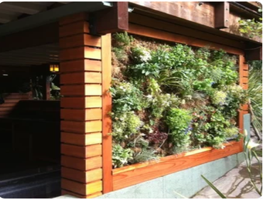 Redwood Concrete Outdoor Kitchen