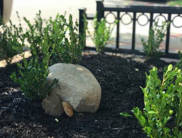 Photos by Nyc Tree Pit Services #1