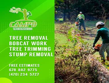 Photos by Campo Tree Service LLC #2