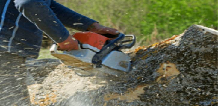 Central Rock Tree Service