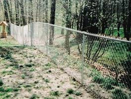 Chain Link