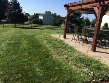 Before Rock removal