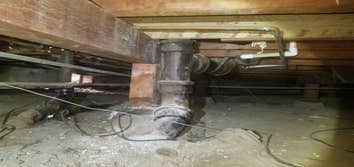 Michael Shute Plumbing