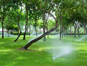 Sprinkler System