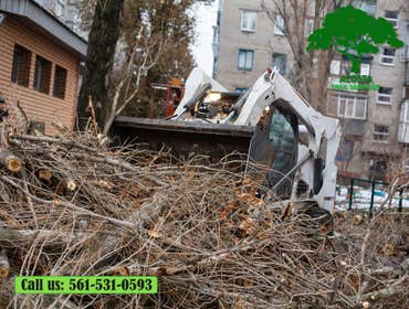 Photos by Acosta Tree Service Inc #16