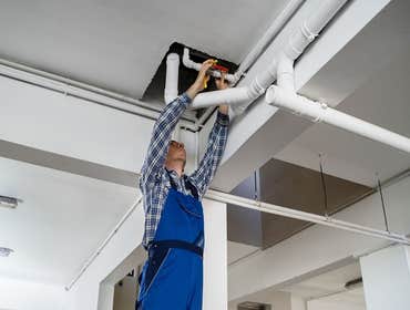 Photos by Bellwether City Water Damage Experts #1