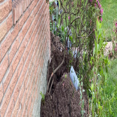 Foundation Repair
