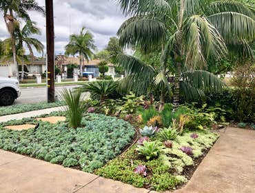 Landscape Photos We range from traditional to low maintenance tropical landscaping. The Owner has an in depth knowledge of which plants work well with 