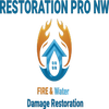 Restoration Pro NW Inc logo