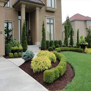Photos by Dangi´s Landscaping and Tree Services #1