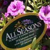 All Seasons Nursery & Landscaping, Inc logo