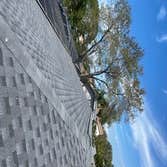Wild Roofing LLC