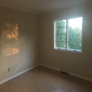 Jeff Painter's Painting