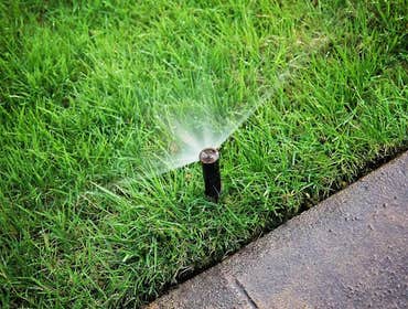 Photos by Cut Right Lawn Care, LLC #1