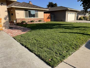 Photos by L&p Hauling Clean Up & Landscape Service #12