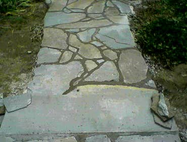 Flagstone with bluestone Tread