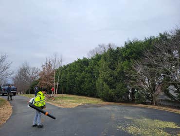 Photos by Hernandez Tree Services #16