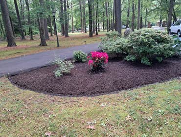 Mulching