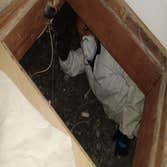 Photos by German Rodent Control #3