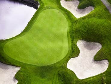 Phoenix Artificial Grass