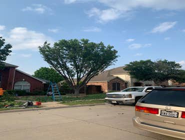Photos by K-perez Tree Services #1