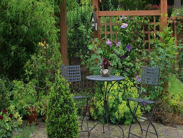 Photos from General Tree Service