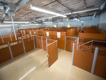 Photos by Triple Crown Construction #1