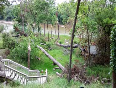 Tree Removal Before