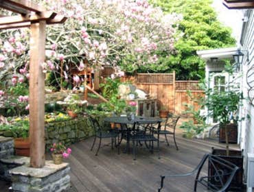 Redwood Garden