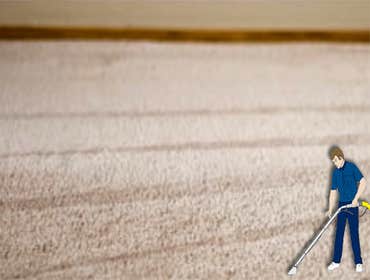 Photos by Steve's Carpet Care & Restoration #1