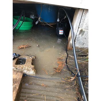 Disaster Md Restoration